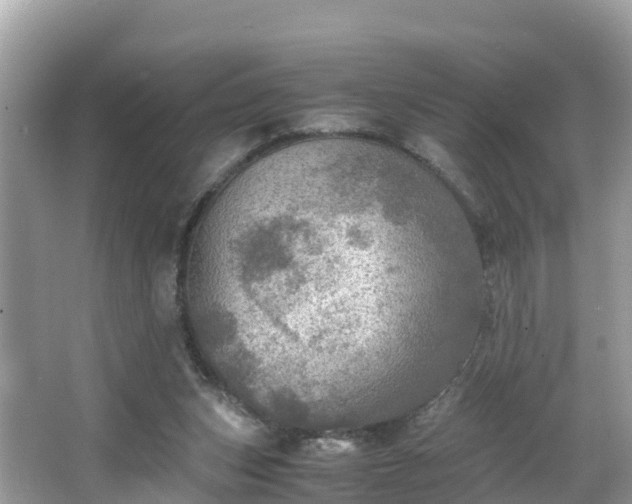 X0000065240159200602211223