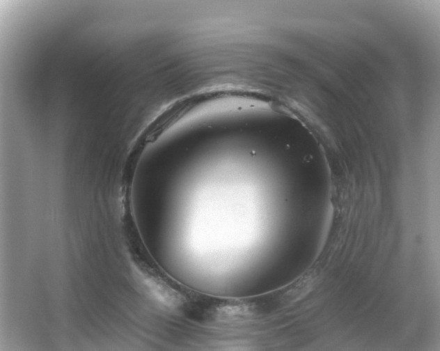 X0000065240160200602211223