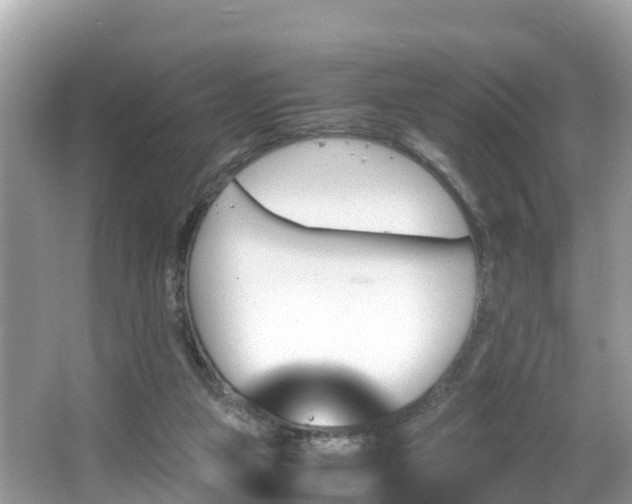 X0000065240161200602211223