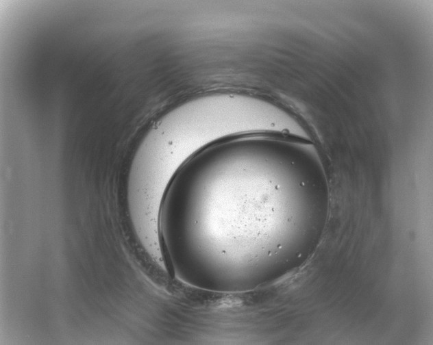 X0000065240162200602211223