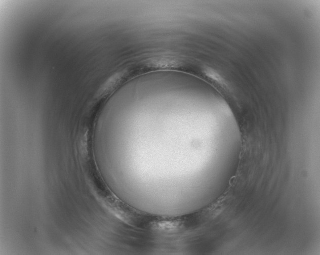 X0000065240163200602211223