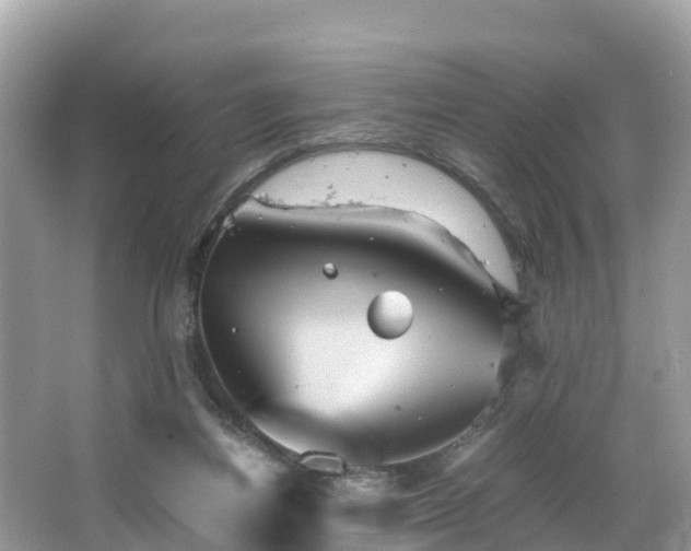 X0000065240164200602211223