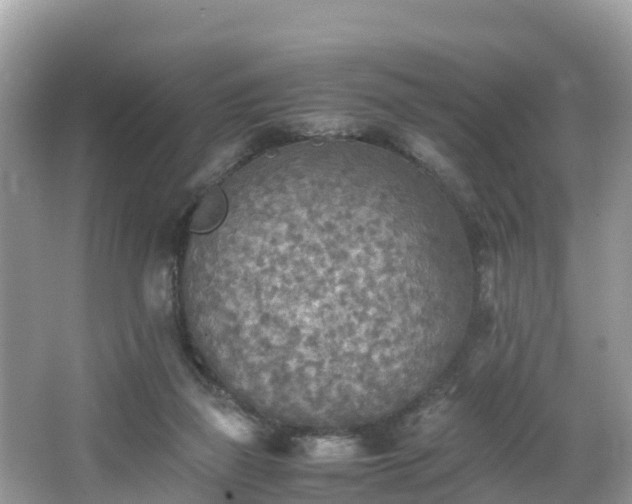 X0000065240165200602211223