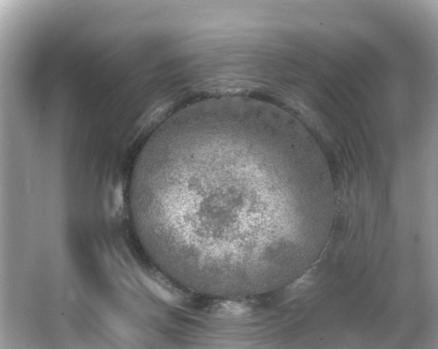 X0000065240166200602211223