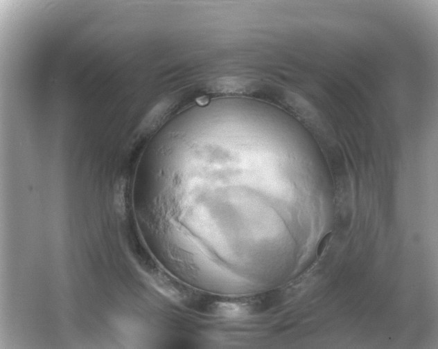 X0000065240167200602211223