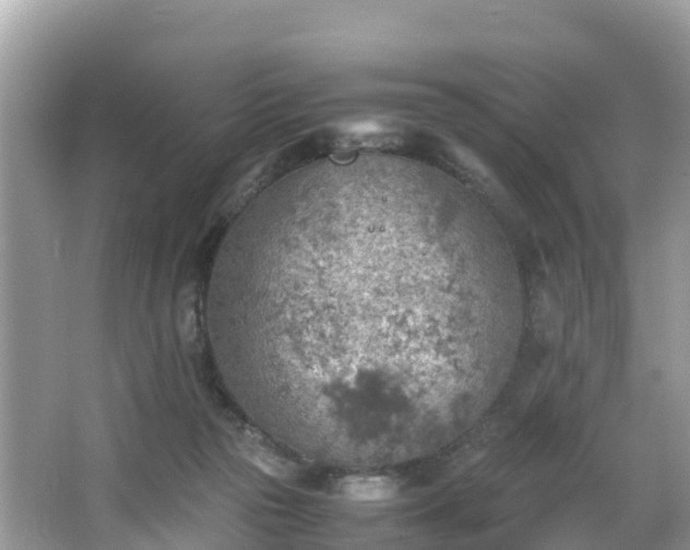 X0000065240169200602211223