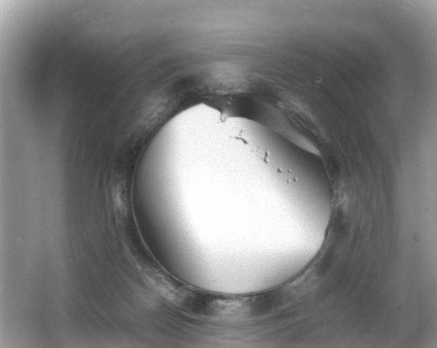 X0000065240170200602211223