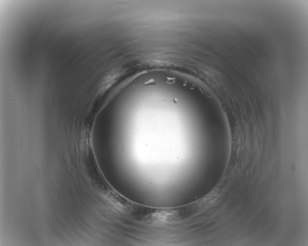 X0000065240172200602211223