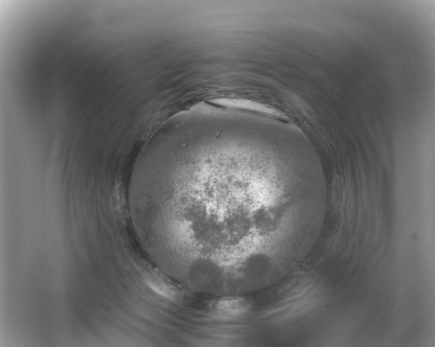 X0000065240173200602211223