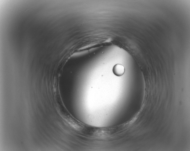 X0000065240174200602211223