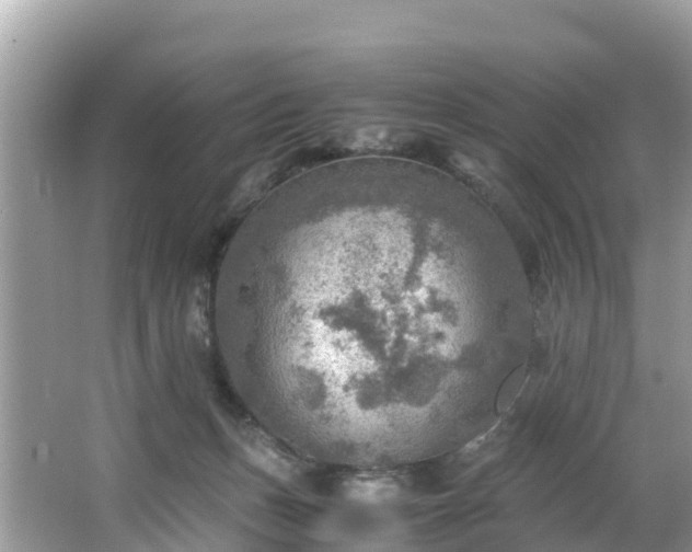 X0000065240175200602211223