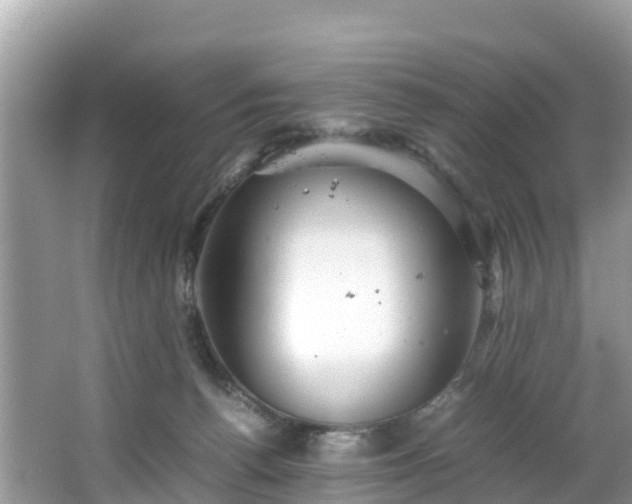 X0000065240176200602211223