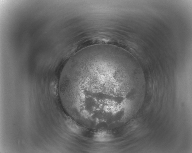 X0000065240177200602211223