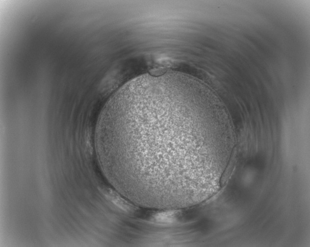 X0000065240178200602211223