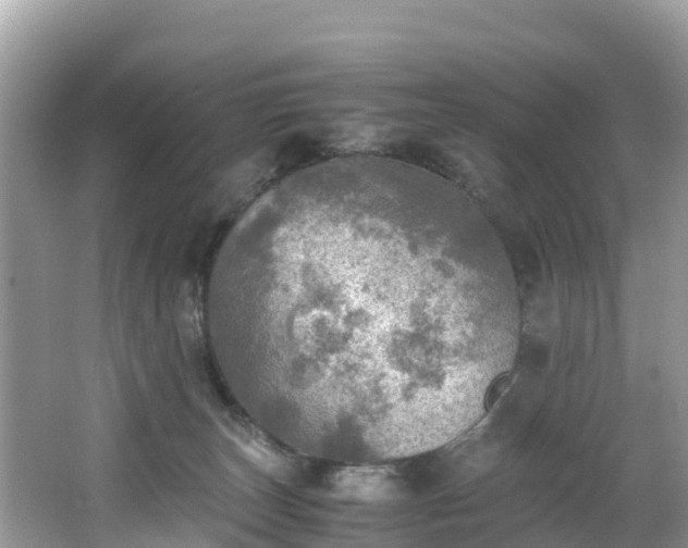 X0000065240179200602211223