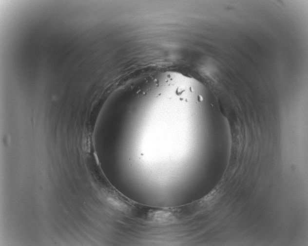 X0000065240180200602211223