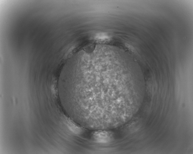 X0000065240181200602211223