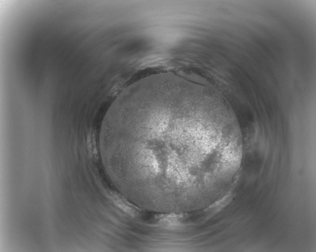 X0000065240182200602211223