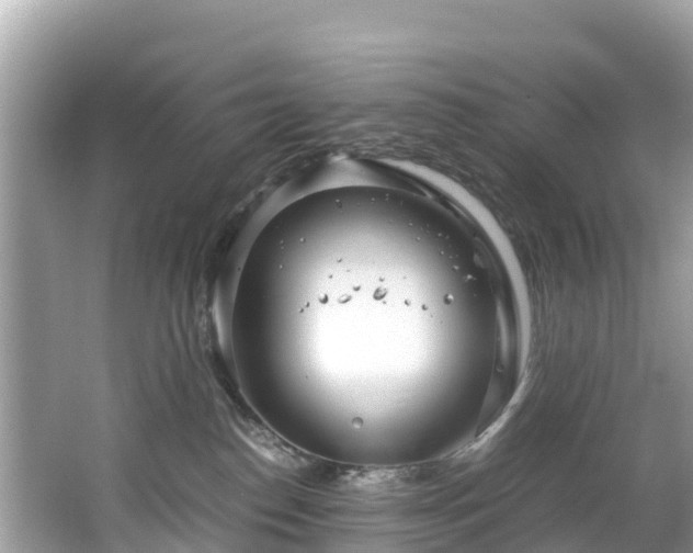 X0000065240186200602211223