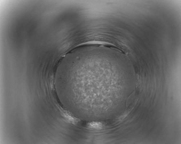 X0000065240189200602211223