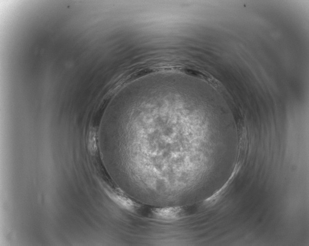 X0000065240191200602211223