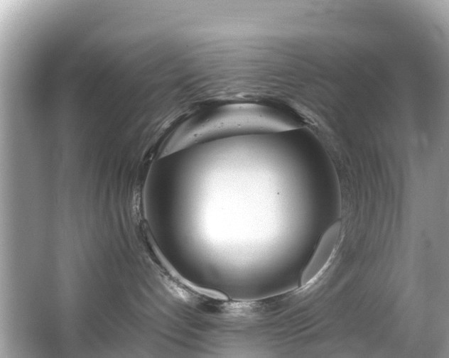 X0000065240192200602211223