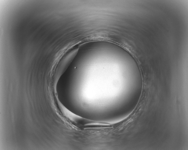 X0000065240193200602211222