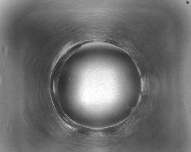 X0000065240195200602211222