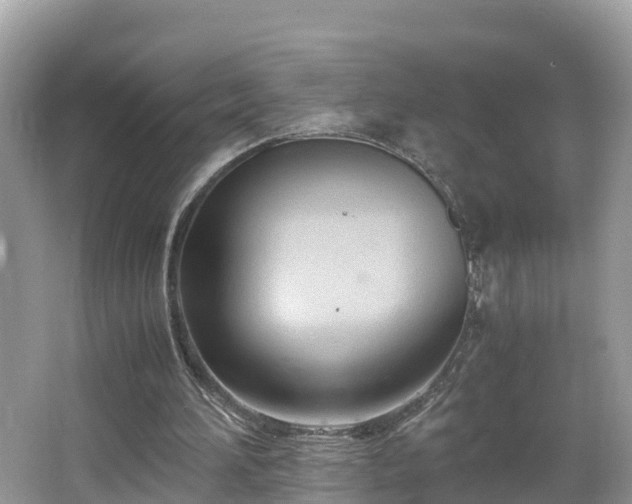 X0000065240196200602211222