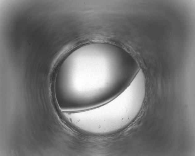 X0000065240197200602211222