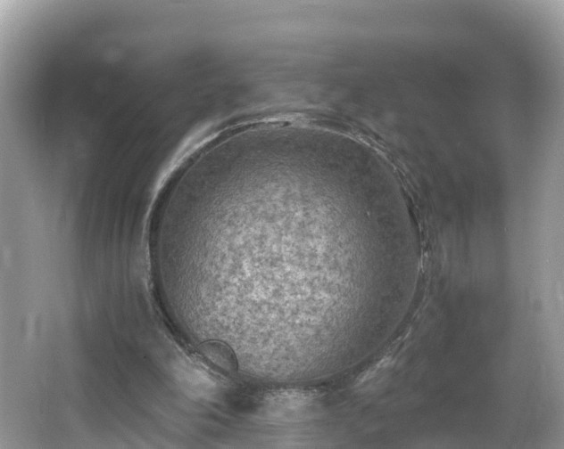 X0000065240198200602211222