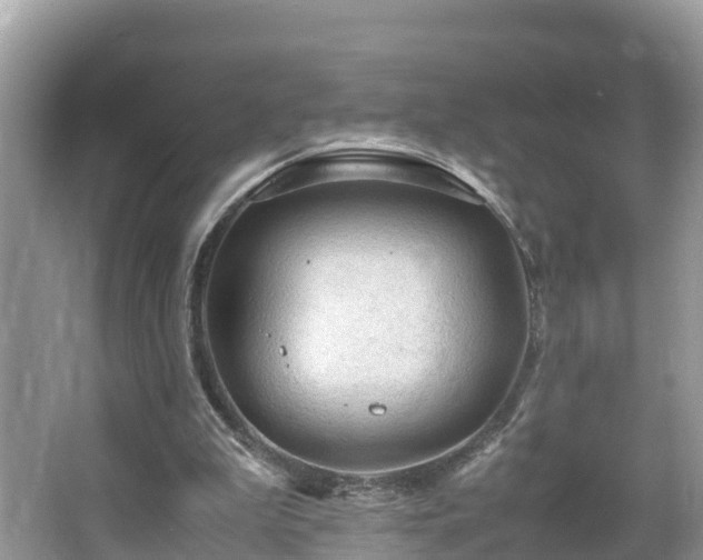 X0000065240199200602211222