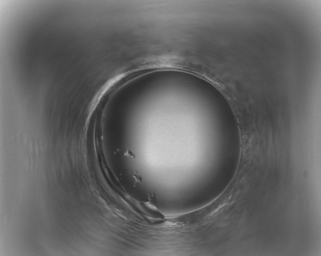 X0000065240200200602211222