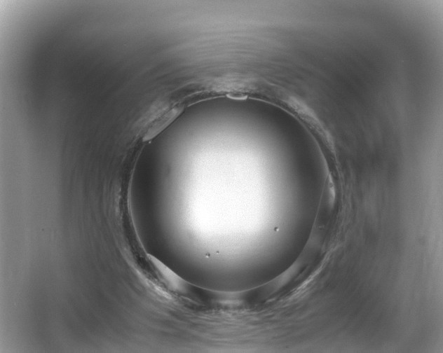 X0000065240201200602211222