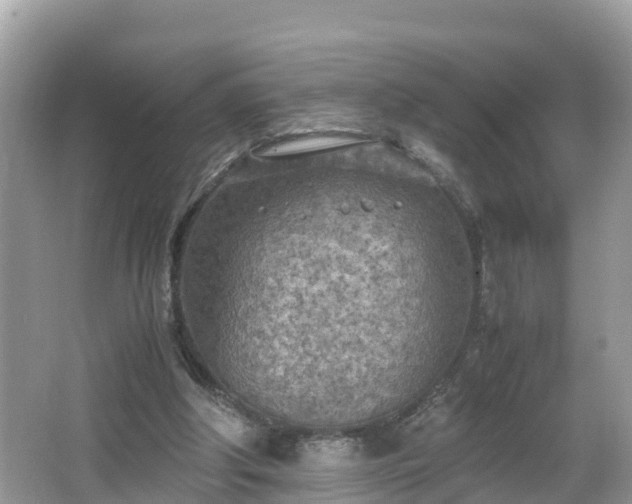 X0000065240202200602211222