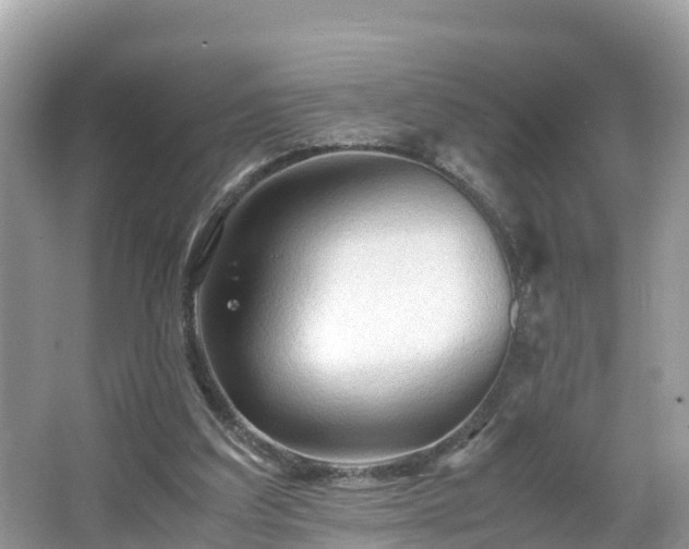 X0000065240203200602211222