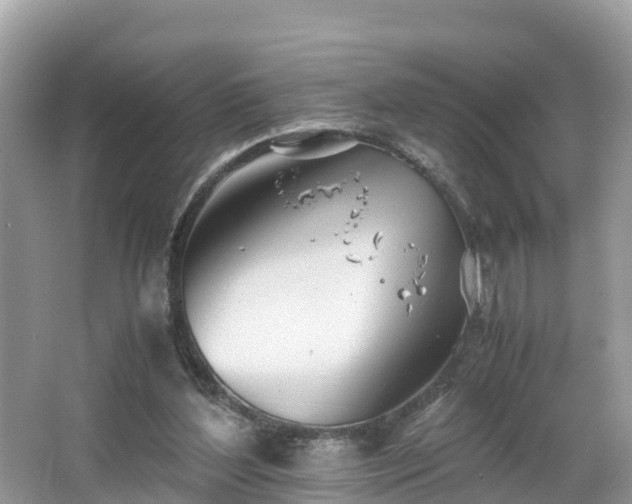 X0000065240204200602211222