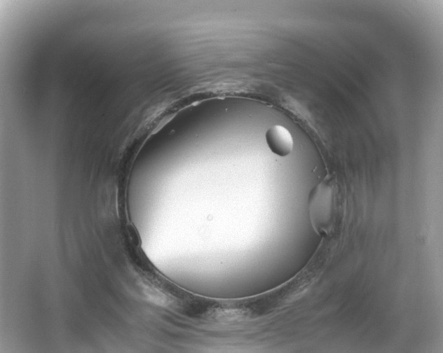 X0000065240205200602211222