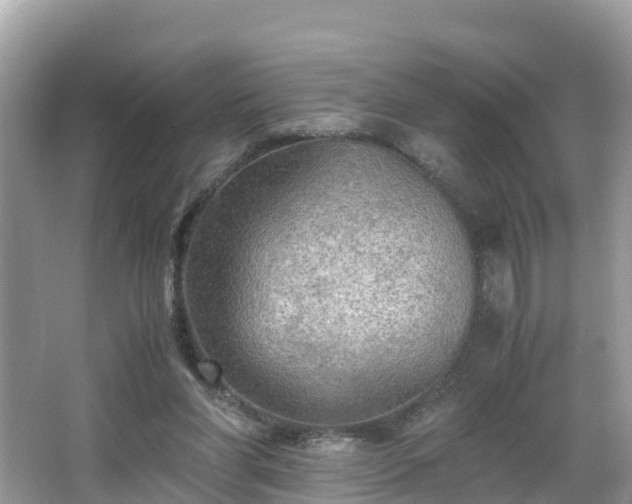 X0000065240206200602211222