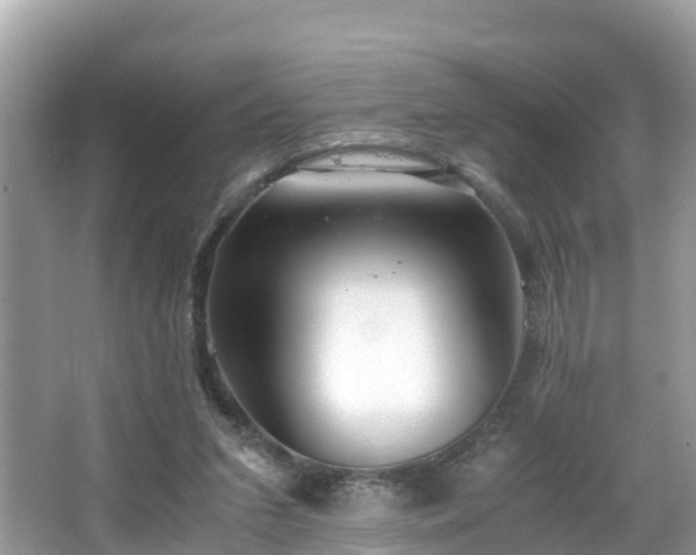 X0000065240207200602211222