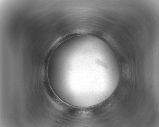 X0000065240208200602211222