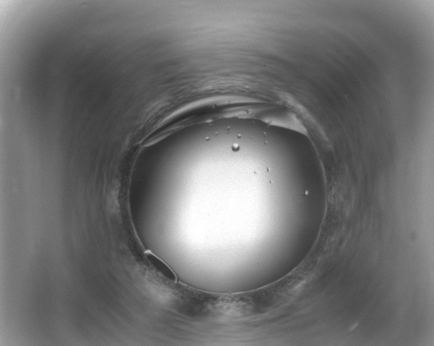 X0000065240209200602211222