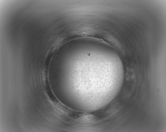 X0000065240210200602211222