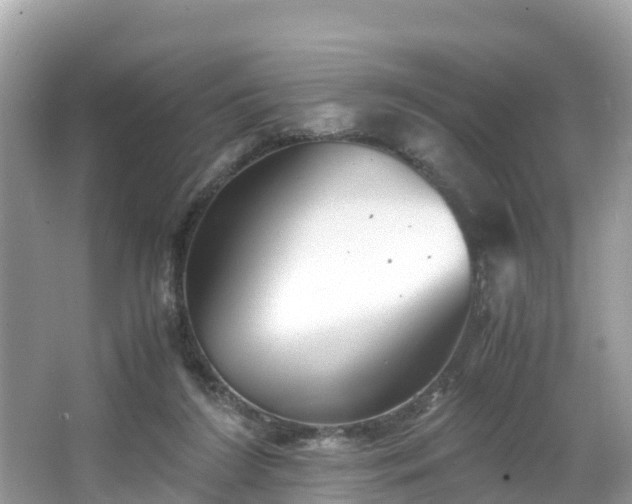 X0000065240212200602211222