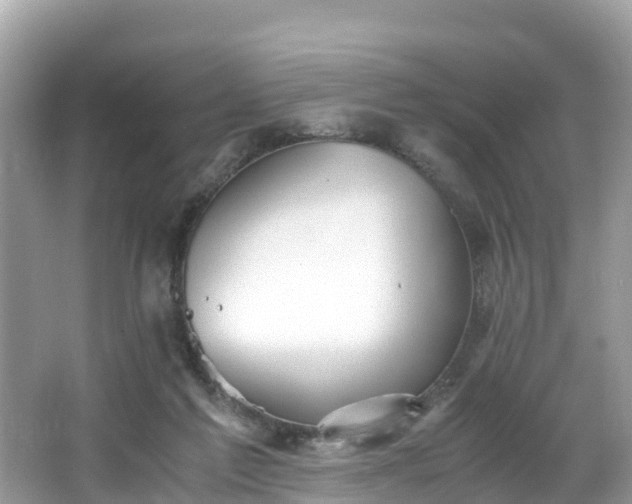 X0000065240213200602211222