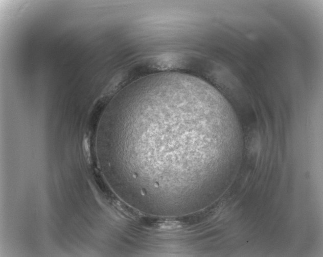 X0000065240214200602211222