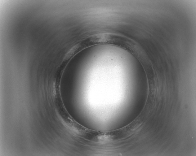 X0000065240216200602211222