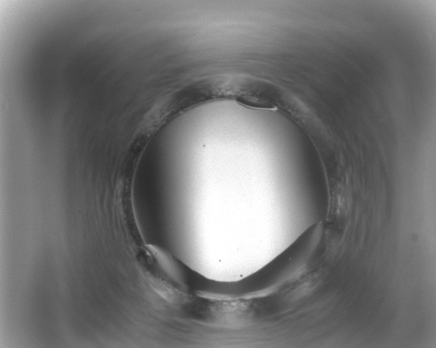 X0000065240217200602211222