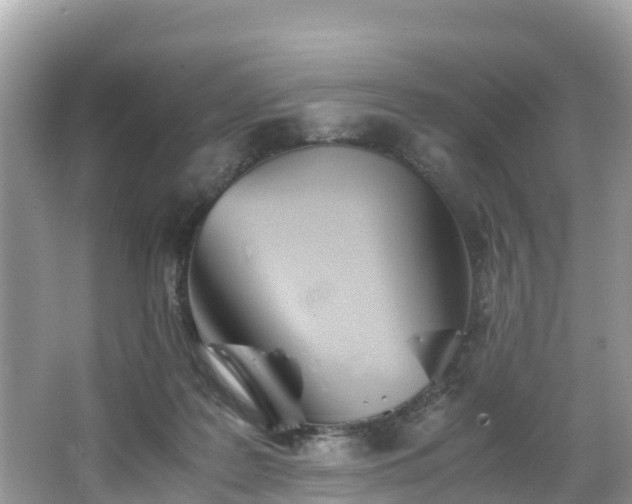 X0000065240219200602211222