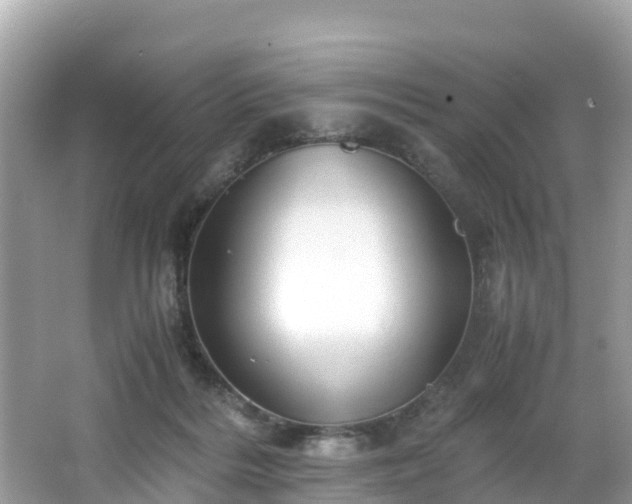 X0000065240220200602211222